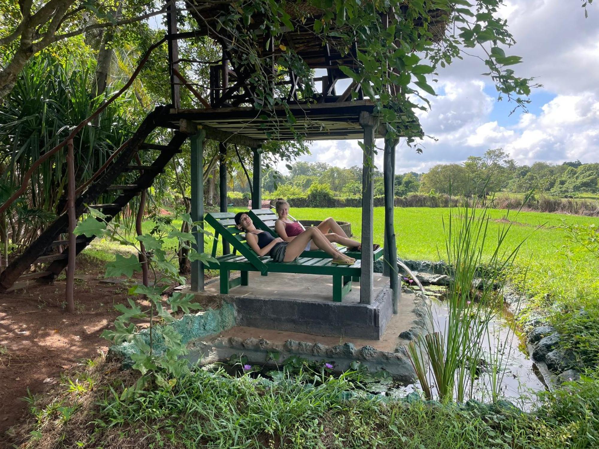 Lake Wind Habarana Extérieur photo