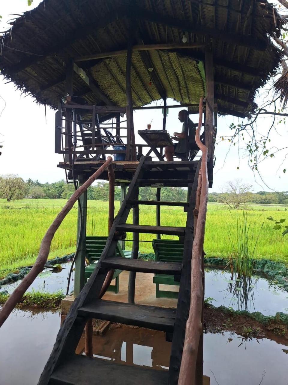 Lake Wind Habarana Extérieur photo